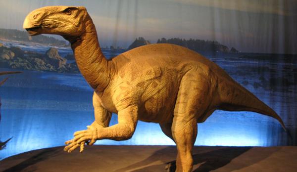 iguanodon