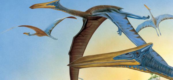 pterozavr